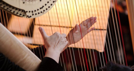 Person spielt auf einer Harfe