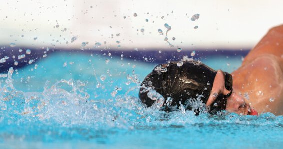 Schwimmkurs: Technikverbesserung | Erwachsene | München