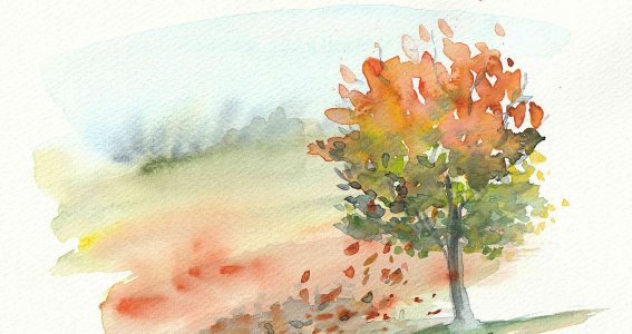 Aquarellkurs – Der Herbst wird bunt (Erwachsene) | Erwachsene | Au-Haidhausen