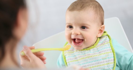 Individuelle Beikost und Ernährungsberatung | Eltern | Online