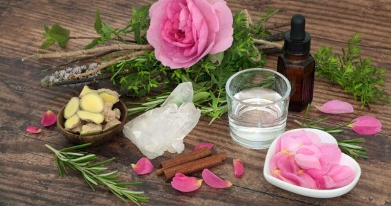 DIY-Naturkosmetik Workshop | Erwachsene | Ludwigsvorstadt-Isarvorstadt