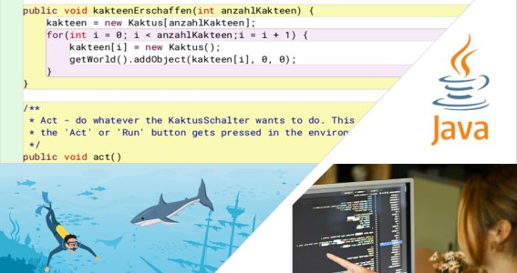 Java für Anfänger - Programmieren lernen | 12  - 16 Jahre | Online
